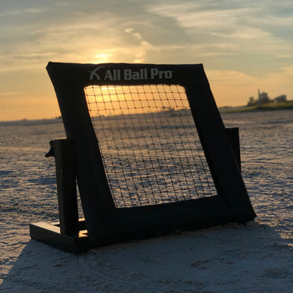 All Ball Pro - The Mini Pro