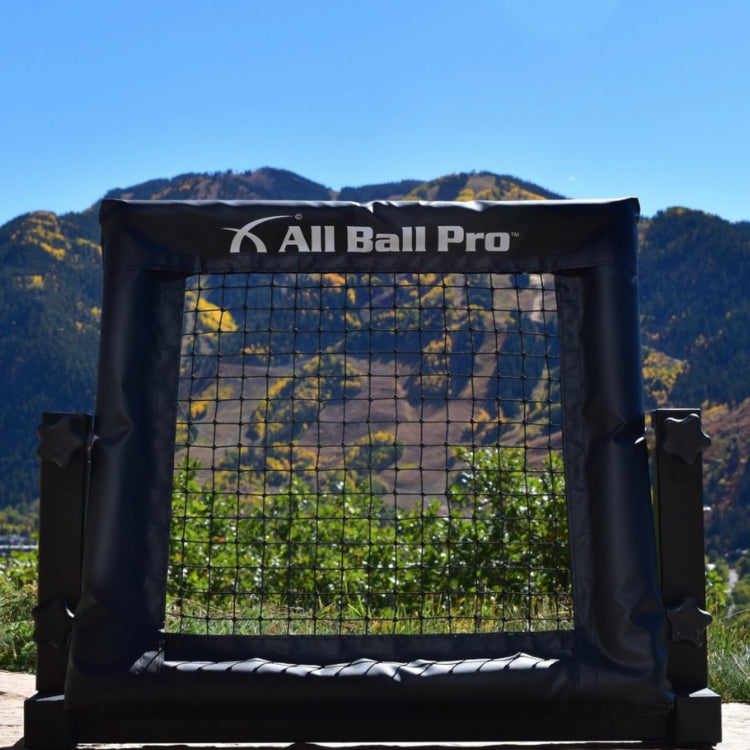 All Ball Pro - The Mini Pro